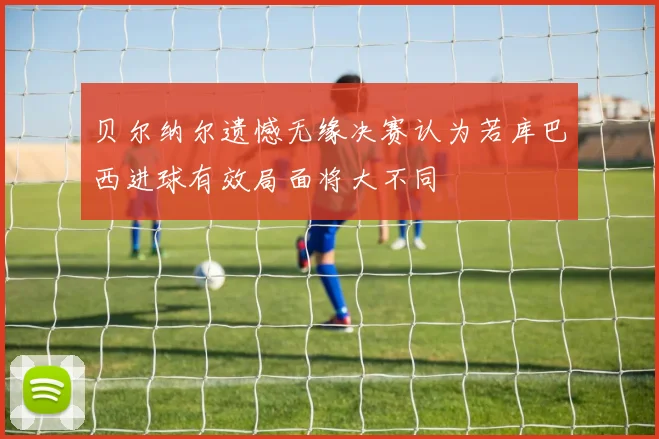 贝尔纳尔遗憾无缘决赛认为若库巴西进球有效局面将大不同